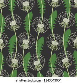 Seamless pattern with white dandelions and green leaves on a black background. Vector illustration