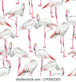 Patrón sin foco con flamencos blancos. Diseño sencillo para la tela. Patrón claro. 