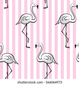 Seamless pattern with white flamingos. Tropical vector print. Pink stripes background. Pop art style.