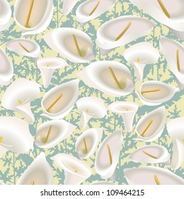 seamless pattern with white flowers cal on grass background