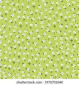 Seamless pattern with white flowers and green background