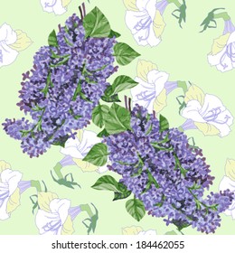 Seamless pattern  with white flowers and  lilac.