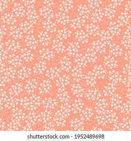 Seamless pattern with white flowers and orange background