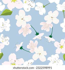 Seamless pattern with white flowers and pastel blue background for prints; white cherry flowers design with red background