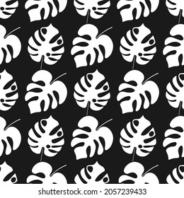 Seamless pattern white leaves of monstera on a black background. Vector illustration.