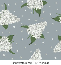 Seamless pattern with white lilac flowers on a gray background. It can be used for packing of gifts, registration of notebooks, diaries, tiles fabrics backgrounds. Vector illustration.