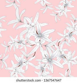 Seamless pattern white Petrea volubilis flowers on isolated pink pastel background.Vector illustration hand drawing beautiful fabric design.