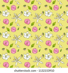 Seamless pattern white and pink flowers