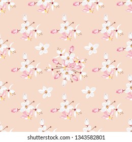 Seamless pattern white and pink Kalapapruek flowers on pastel color background.Vector illustration hand drawn.