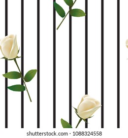 Seamless pattern with white rose, vector