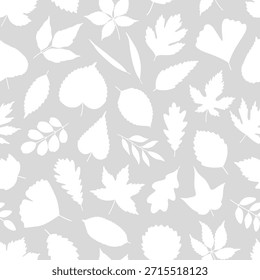 Patrón sin fisuras con siluetas blancas de varias hojas. Hoja de arce, tilo, abedul, roble, espino y ginkgo en gris. Plantilla para la materia textil, paquete, papel de embalaje. Ilustración vectorial, mínima