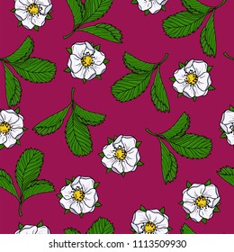 Seamless pattern with white strawberry flowers and green leaves on deep purple background. Hand drawn vector illustration.