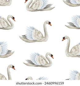 Seamless pattern with white swan. Vector