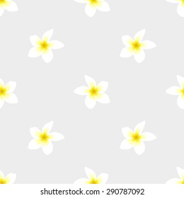 Seamless pattern with white tropical frangipani flower on a light gray background