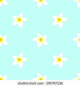 Seamless pattern with white tropical frangipani flower on a light blue background