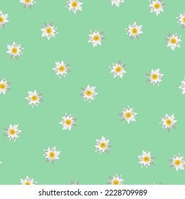 Seamless pattern white water lilies on green background. Lily floral bloom repetiting print. Springtime blossoms flowers repetitive motif for wrapping, fabric textile, wall paper. Vector design eps 10