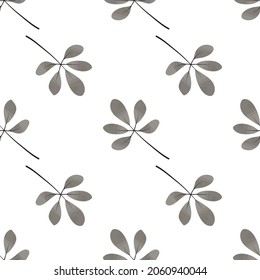 Seamless pattern whith autumn dark green leaves