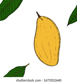 Seamless pattern of whole mango and mango leaves. Vector cartoon background. Hand-drawn style.