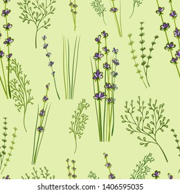Seamless pattern wiht some botanical elements for design. Lavender and other herbs.