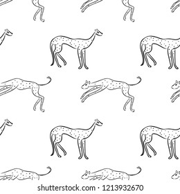 Seamless pattern of wild cats