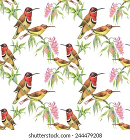 Seamless pattern with wild exotic birds on the branch with flowers on white background vector illustration