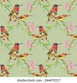 Seamless pattern with wild exotic birds on the branch with flowers on green background vector illustration