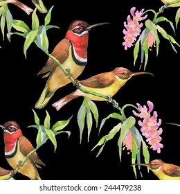 Seamless pattern with wild exotic birds on the branch with flowers on black background vector illustration