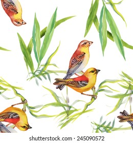 Seamless pattern with wild exotic birds on the branch with flowers on white background vector illustration
