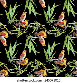 Seamless pattern with wild exotic birds on the branch with flowers on black background vector illustration