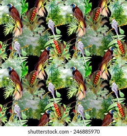 Seamless pattern with wild exotic birds on the branch with flowers on tropical black background vector illustration
