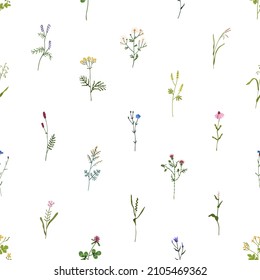 Seamless pattern with wild flowers. Botanical background with repeating floral print. Spring blooms, herbal plants texture design for wrapping, textile and wallpaper. Colored flat vector illustration