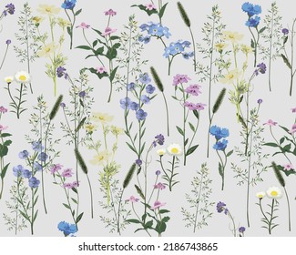 Seamless pattern wild flowers cornflowers and chamomile. Pattern for fabric. Vector illustration. Abstraction.