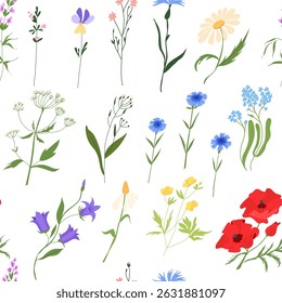 Seamless pattern of wild flowers. Floral elegant and delicate flowers.