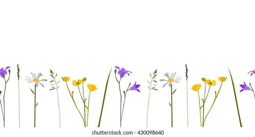 Seamless pattern wild flowers, isolated vector