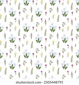 Seamless pattern with wild flowers on a white background. Romantic floral print