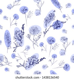 Seamless Pattern with Wild Flowers Sketches. Botanical Hand Drawn Digital  Illustration