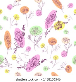 Seamless Pattern with Wild Flowers Sketches. Botanical Hand Drawn Digital  Illustration