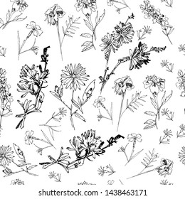 Seamless Pattern with Wild Flowers Sketches. Botanical Hand Drawn Digital  Illustration