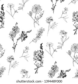 Seamless pattern with Wild Flowers with Summer Botanical Sketches.  Vector Illustration