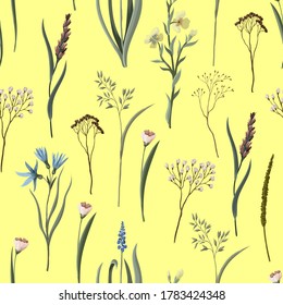 Seamless pattern with wild flowers. Trendy textile print