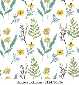 Seamless pattern of wild flowers. Vector illustration. Floral ornament.