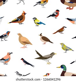 Seamless pattern with wild forest birds on white background. Backdrop with avians. Ornithological vector illustration in modern geometric flat style for wrapping paper, fabric print, wallpaper.