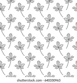 Seamless pattern with wild herb leaves. Hand drawn field plants background. Vector illustration in black and white