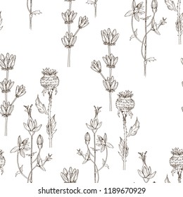 Seamless pattern of wild herbal flowers. Vector. Hand drawn artwork. Flower concept for wedding invitations, cards, tickets, congratulations, branding, boutique logo, label. Botanical style sketch