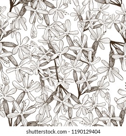 Seamless pattern of wild herbal flowers. Vector. Hand drawn artwork. Flower concept for wedding invitations, cards, tickets, congratulations, branding, boutique logo, label. Botanical style sketch