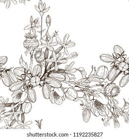 Seamless pattern of wild herbal flowers. Vector. Hand drawn artwork. Flower concept for wedding invitations, cards, tickets, congratulations, branding, boutique logo, label. Botanical style sketch