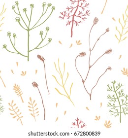 Seamless pattern with wild herbs and flowers. Hand drawn field plants background. Vector illustration