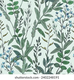 Seamless pattern with wild herbs and leaves