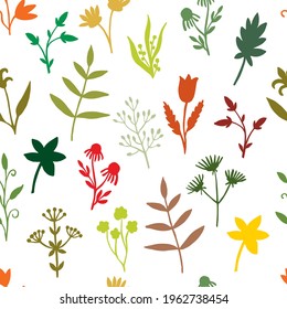 Seamless pattern of wild herbs and plants isolated on white background. Bright botanical elements are hand drawn. Silhouettes of Flowers, leaves, twigs, buds. Design for fabric, textile, print.