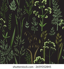 Padrão contínuo de silhuetas de ervas selvagens - fundo floral do vetor